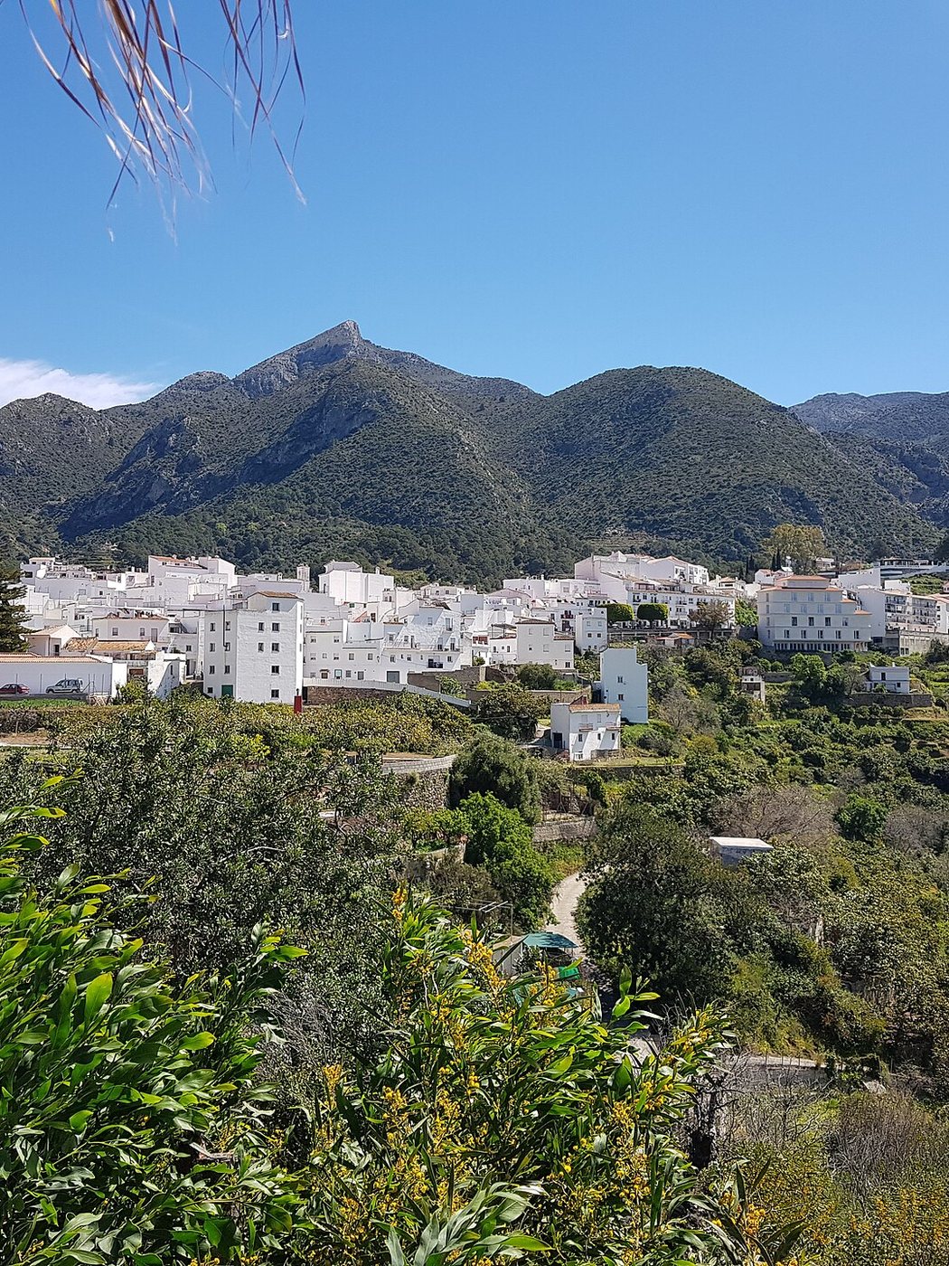 Istán: pohľad na oblasť na Costa del Sol